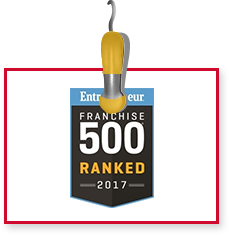 Franchise 500 2017